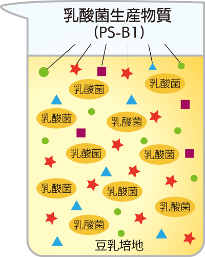 乳酸菌生産物質PS-B1